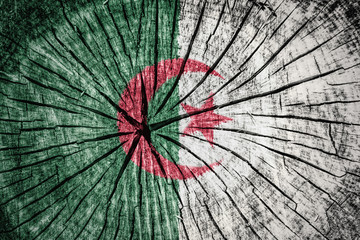 flag of  Algeria