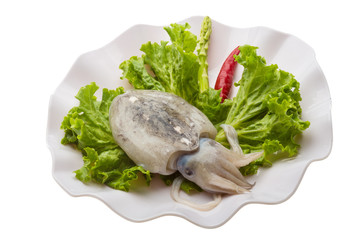 Raw cuttlefish