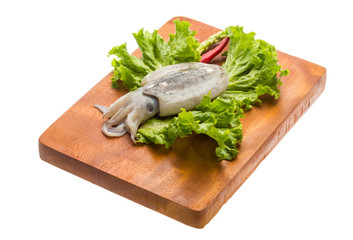 Raw cuttlefish