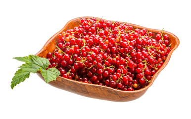 Red currant