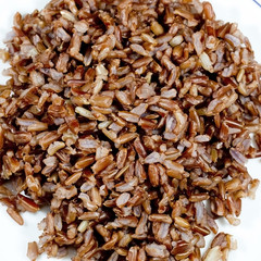 Germinated wheat grains as background