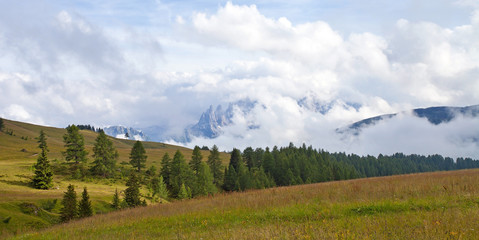 Pale di San Martino, Trentino, Italia