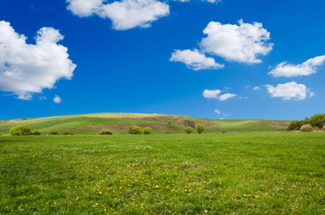 green field background