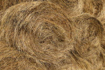 Straw background hay bale