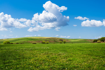 green field background