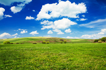 green field background
