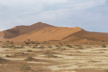 Fototapeta na wymiar Deserto del namib