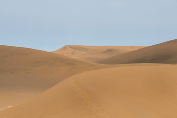 Deserto del namib