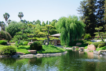 Fototapeta premium Beautiful view of Japanese Garden