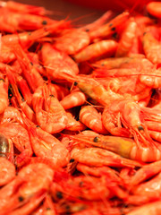 Shrimps fish market (Fisketorget) in Bergen, Norway