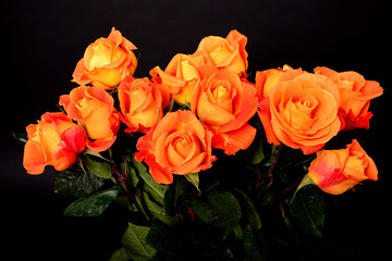 Rose Floral arrangement