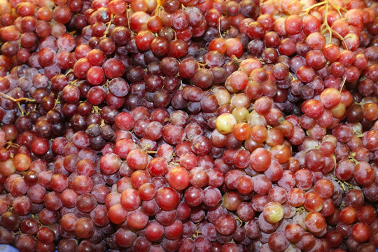 Grapes in market after harvest. Close up fresh fruit grapes