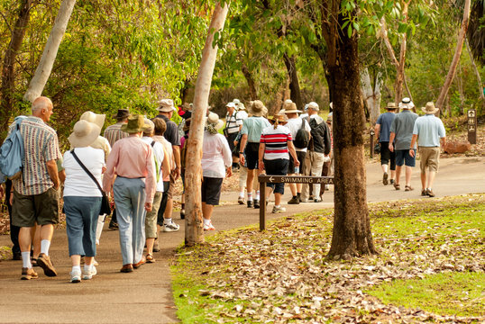 group of old and healthy people walking in the nature