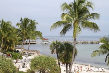 Fototapeta na wymiar Key West Florida Landscape
