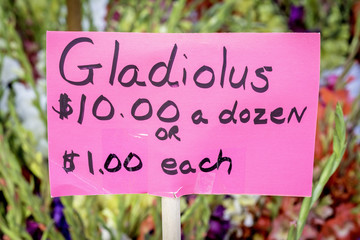 Local market sign for Gladiolus with a price