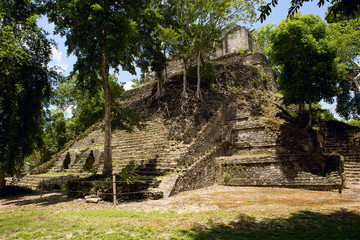 nature overtaking a pyramid ruin