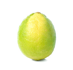 Citrus lime fruit isolated on white background