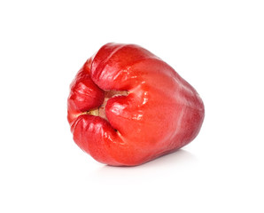 Rose apples or chomphu isolated on white background