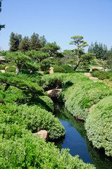 Fototapeta na wymiar Beautiful view of Japanese Garden