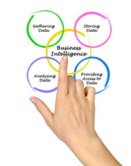 Business Intelligence