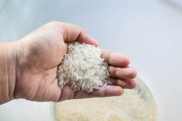 rice in hand