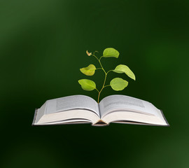 Sapling growing from book