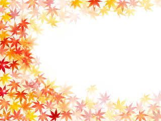 もみじ　紅葉　背景
