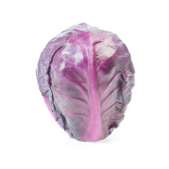 Obraz premium Head of purple cabbage on a white background.