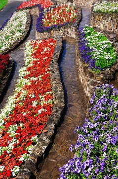 Colourful flowerbeds © Arena Photo UK