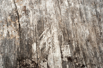 wooden plank with splinters and cracks