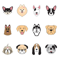 Fototapeta premium dogs collection,vector