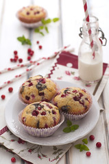 Chocolate and cranberries cakes