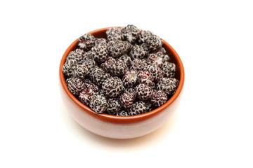 Blackberries in bowl