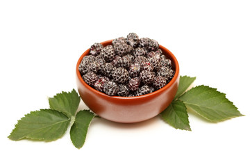Blackberries in bowl