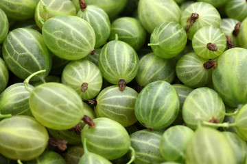 Gooseberries
