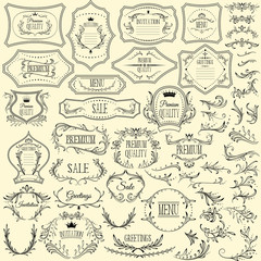 Collection of floral design elements and frames