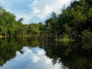 Reflections of Amazon river, Brazil