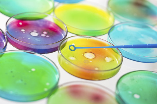 Laboratoire, Bo&icirc;te de Petri, ADN, Science, Recherche -