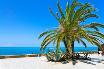 Quay of the resort city of Sochi.