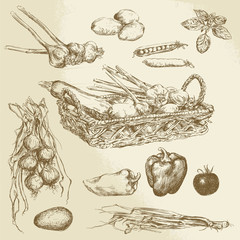 vegetables - hand drawn collection