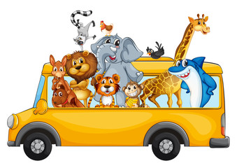 Obraz premium Animals on school bus