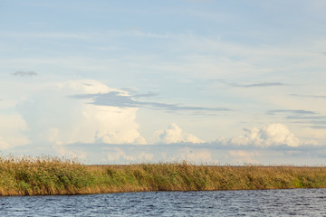 Ladoga lake in summer