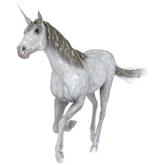 White Unicorn © photosvac