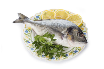 Pescado fresco doradas aisladas sobre un fondo blanco