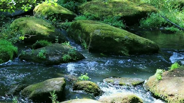 Fluss mit vermoosten Felsen im Wald