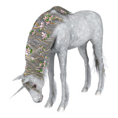 White Unicorn © photosvac