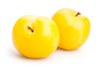 yellow plum