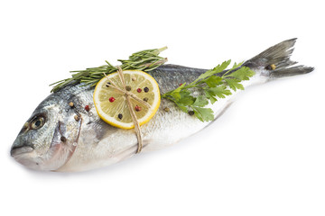 Pescado fresco con hierbas y especias aislado sobre fondo blanco