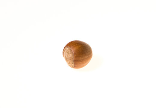 hazel nuts isolated on white background