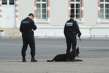 Obraz premium gendarme maitre chien